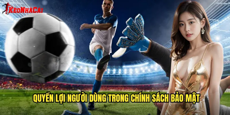 Quyền Lợi Người Dùng Trong Chính Sách Bảo Mật